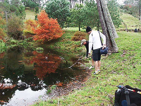 Disc Golf New Zealand