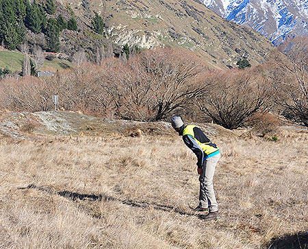 Disc Golf New Zealand