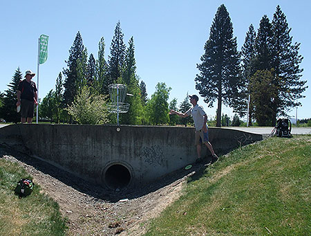 Disc Golf New Zealand