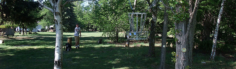 Disc Golf New Zealand