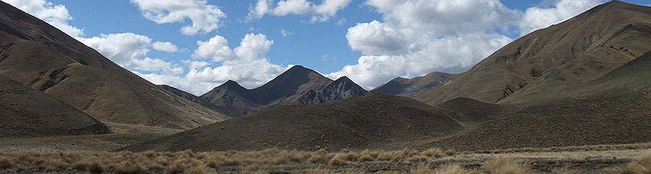 Disc Golf New Zealand