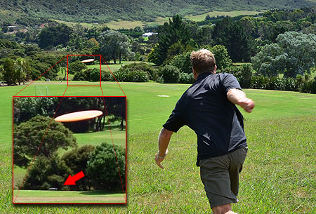 Disc Golf New Zealand