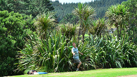 Disc Golf New Zealand