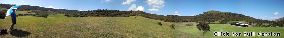 Disc Golf New Zealand