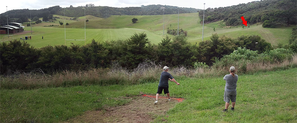 Disc Golf New Zealand