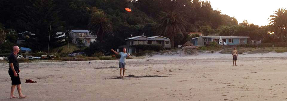 Disc Golf New Zealand