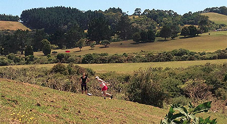 Disc Golf New Zealand