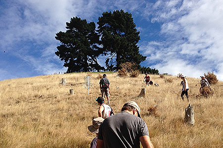 Disc Golf New Zealand