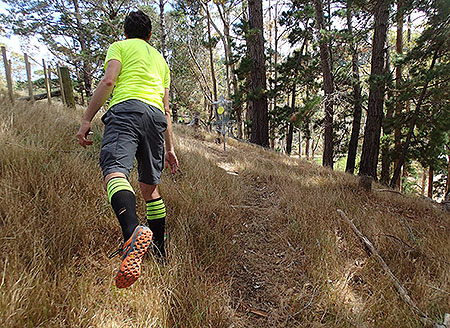 Disc Golf New Zealand