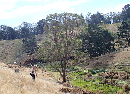 Disc Golf New Zealand