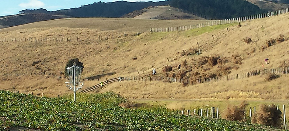 Disc Golf New Zealand