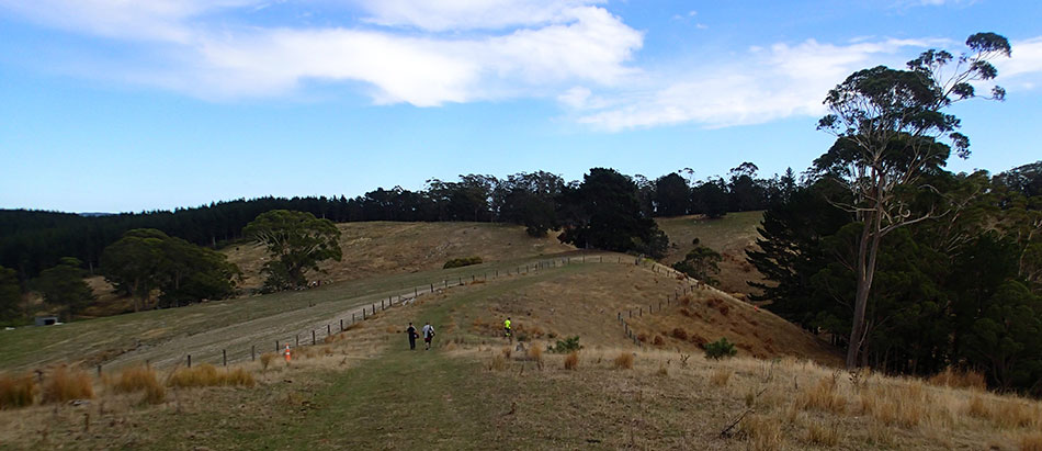 Disc Golf New Zealand