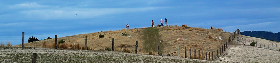 Disc Golf New Zealand