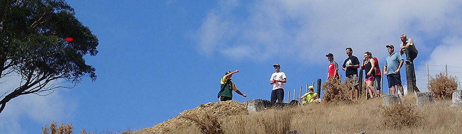 Disc Golf New Zealand