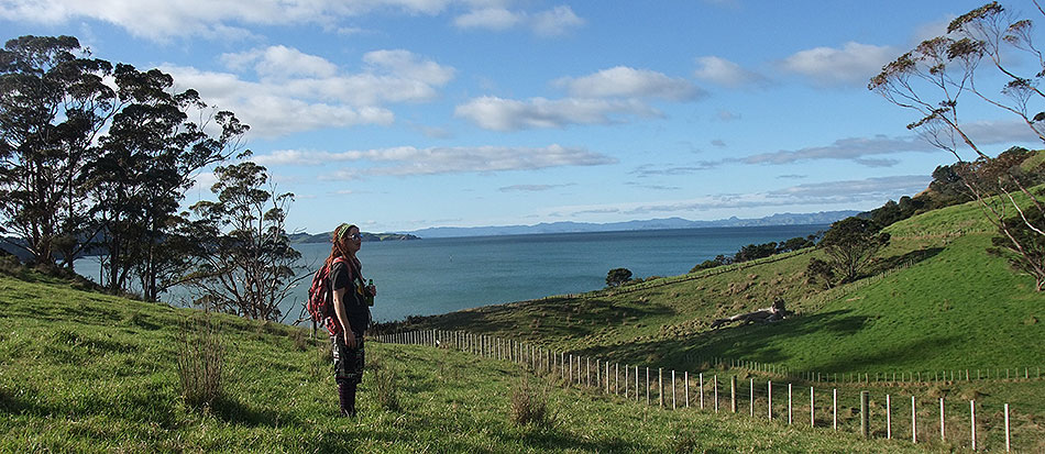 Disc Golf New Zealand