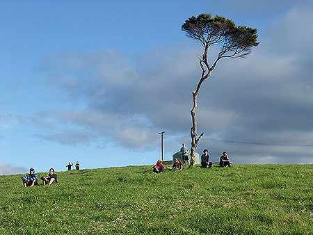 Disc Golf New Zealand