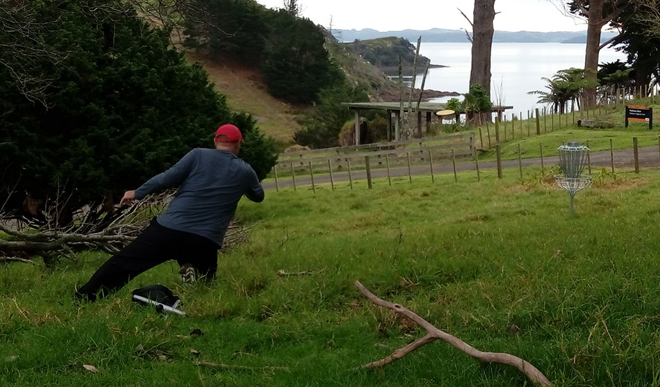 Disc Golf New Zealand