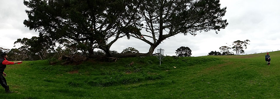 Disc Golf New Zealand