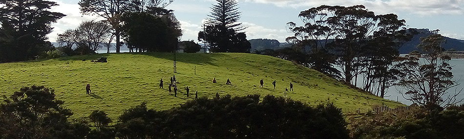 Disc Golf New Zealand