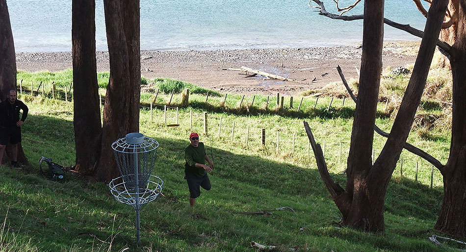 Disc Golf New Zealand