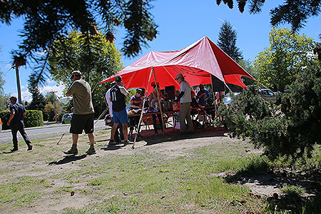 Disc Golf New Zealand