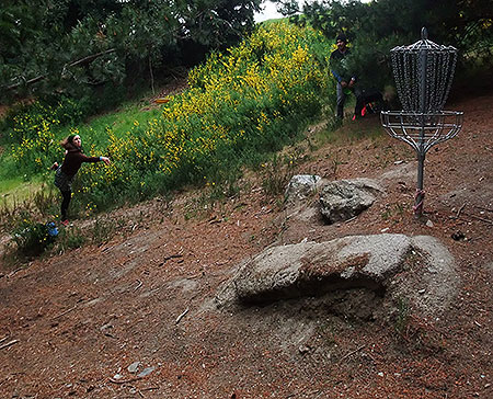 Disc Golf New Zealand