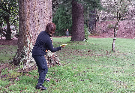 Disc Golf New Zealand