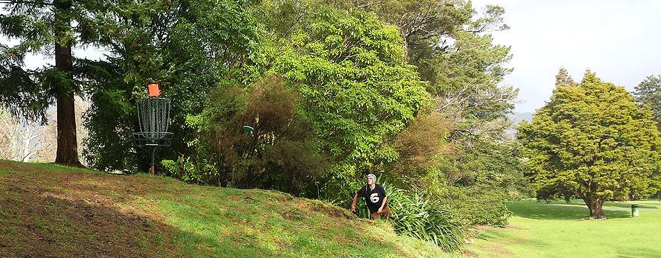 Disc Golf New Zealand