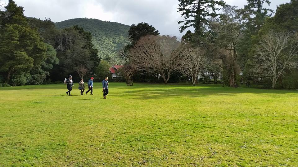 Disc Golf New Zealand