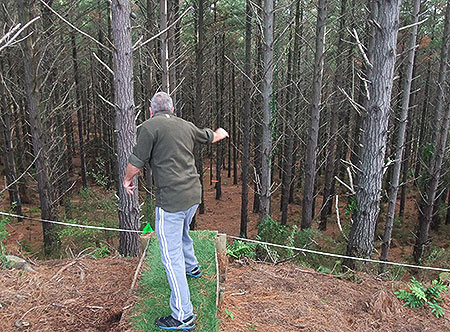 Disc Golf New Zealand