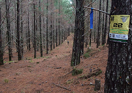 Disc Golf New Zealand