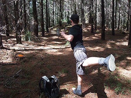 Disc Golf New Zealand