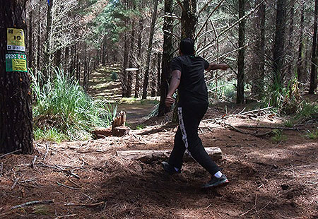 Disc Golf New Zealand