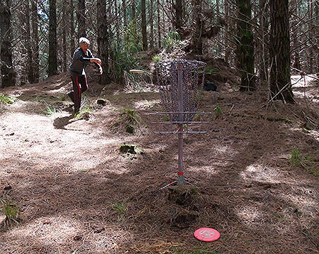 Disc Golf New Zealand