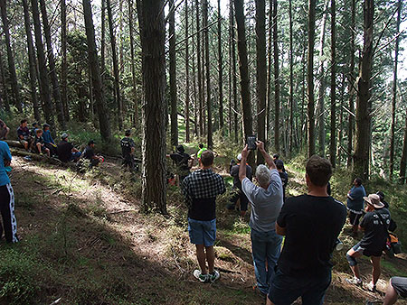 Disc Golf New Zealand