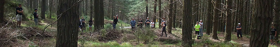 Disc Golf New Zealand