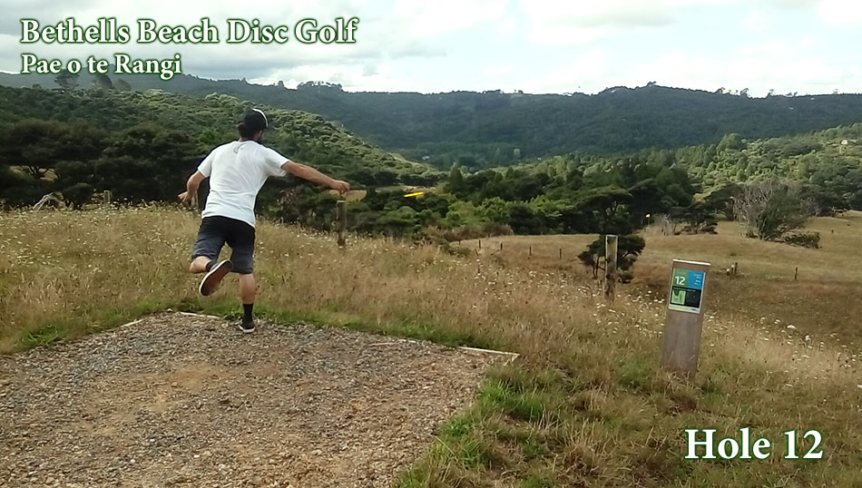 Disc Golf New Zealand