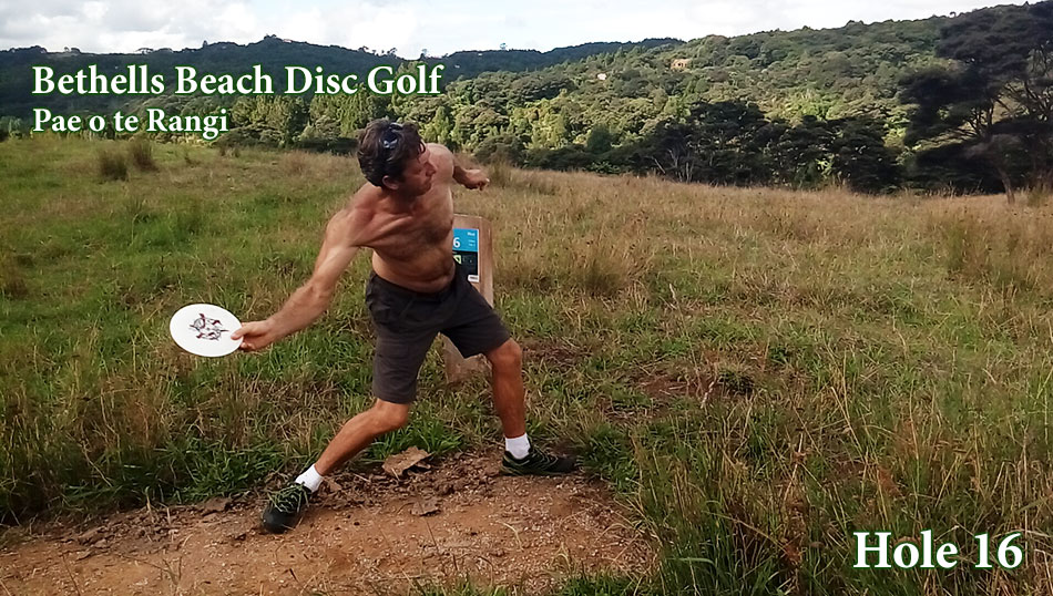 Disc Golf New Zealand