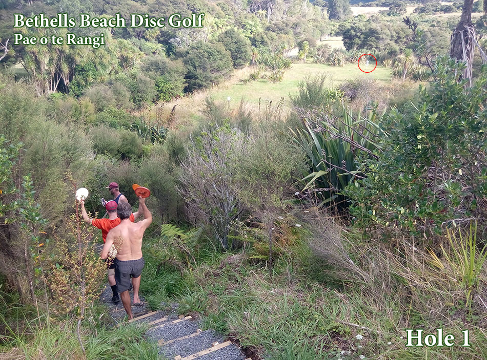 Disc Golf New Zealand