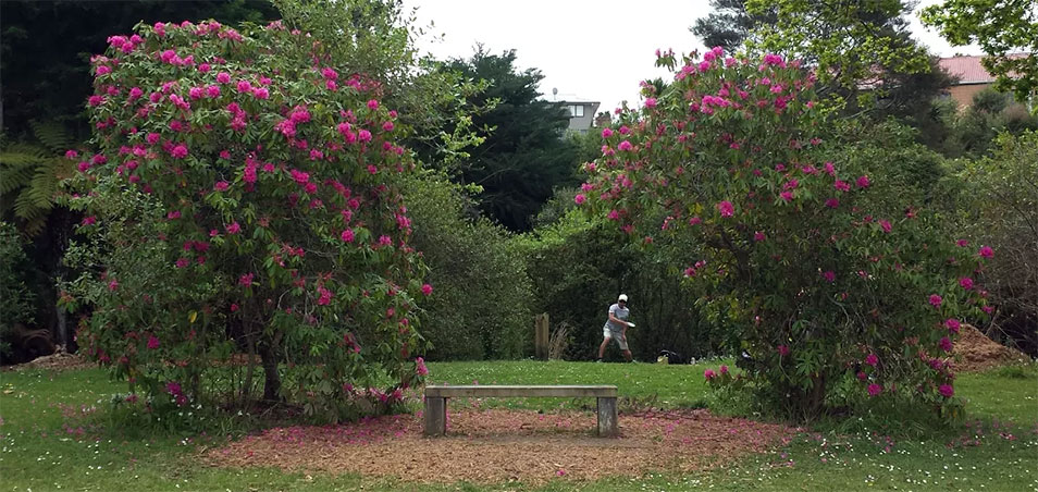 Disc Golf New Zealand