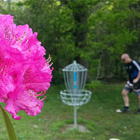 Disc Golf New Zealand