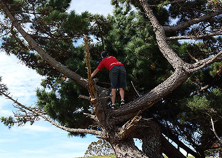 Disc Golf New Zealand