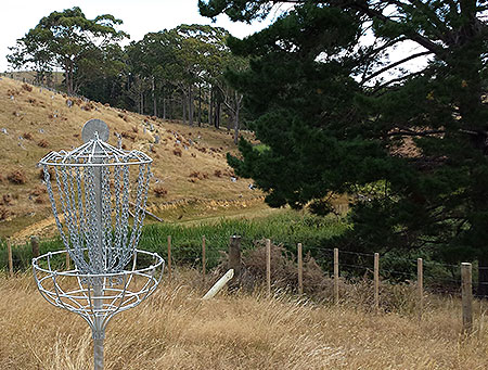 Disc Golf New Zealand