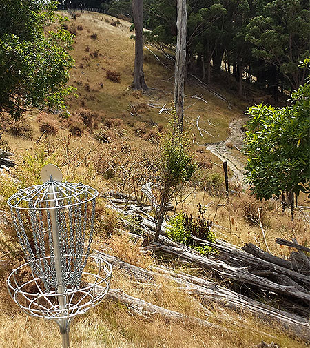 Disc Golf New Zealand