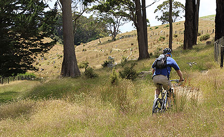 Disc Golf New Zealand