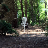 Disc Golf New Zealand