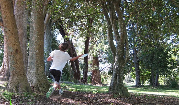 Disc Golf New Zealand