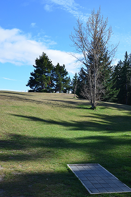 Disc Golf New Zealand