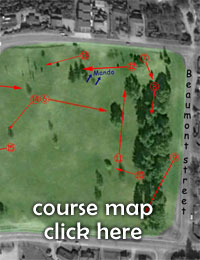 Disc Golf New Zealand