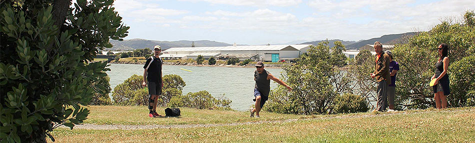 Disc Golf New Zealand